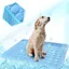 Tapis rafraîchissant lavable en soie glacée pour chien pour sièges de voiture intérieurs et extérieurs (bleu 70 x 55 cm)