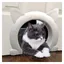 Porte intérieure pour chat porte pour chat chatière pour chat jusquà 10 kg tunnel pour chat pour porte de chambre，Bl Étiquette