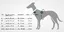 Harnais animal Hunter - 60968 - Racing Harnais Norvegien en Nylon Reflechissant pour Chien, Bleu petrole, L, 60-75 cm