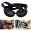 Lunettes de soleil pour chien - Étanches - anti-UV - Pour petits chiens et chats - Noir Étiquette