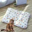 Couverture pour chat - Couverture confortable et apaisante pour chat couverture confortable et apaisante(J 189 * 134 pouces)