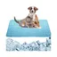 Tapis rafraîchissant & de couchage pour lété — Surface absorbante matériaux sûrs facile à transporter & à nettoyer. Maintient la