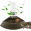 Abreuvoir reptile 2-en-1 pour tortues/lézards/serpents/geckos
