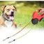 Laisse rétractable pour Chien Double extrémité Laisse Universelle Anti-enchevêtrement avec lumière LED adaptée Toutes Les LAISSE