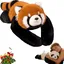 Câlin Relaxant Raton Laveur Lesté 65 cm – Peluche Apaisante pour Réduire le Stress Favoriser un Sommeil Calme Idéal PELUCHE