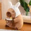 Peluche Capybara mignonne, peluche douce pour animal de compagnie, jouet pour dormir, oreiller Kawaii, cadeau pour adultes,