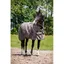 Couverture dextérieur pour cheval adaptation standard au cou HorseGuard 600D 100g - Beige - 165 cm