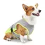 Gilet rafraîchissant pour chien, gilet rafraîchissant pour animaux de compagnie, vêtements pour chien XL
