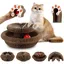 Griffoir pour Chat Carton avec BalleLit pour Chat Pliable Magic Organ Cat Scratching BoardGriffoir Magique pour ChatJouet