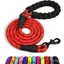 Chien Corde Laisse pour Chien en Nylon avec Poignée Rembourrée Douce et des Fils réfléchissants 150cm x 1.2cm Rouge