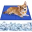 Tapis rafraîchissant pour chien et chat - LON® - Auto-rafraîchissant non toxique - Bleu Taille M - 65x50 cm