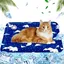 Tapis rafraîchissant animaux - Injection deau Refroidissement rapide - Été et confort animal - 40x50cm Ours