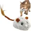 Souris jouet interactif – Recharge USB 2h – Silencieux – pour chat en appartement