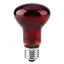 Ampoule chauffante infrarouge durable pour alimentation danimaux de compagnie de reptiles (75 W)