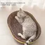 Griffoir chat ovale en papier ondulé – panier chat planche à gratter pour chat jouets à griffes protection des meubles