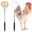 Lot de 2 mangeoires automatiques pour Poules #1 Avec Printemps Suspendre Jouet Poules/Canards Cuneary