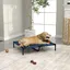 Lit pour Chien Surélevé 915 × 762 cm Pliable et Respirant - TCQPZ - sans matelas Fer et Tissu Oxford 600D - Bleu