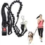 Laisse mains libres pour chien course à pied absorbant les chocs extensible - Ceinture réglable - Pour courir faire  Étiquette