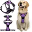 Harnais Chien No Pull Harnais Anti Traction pour Chien pour Moyen Chiens Facile Mettre Violet L Violet L# HARNAIS ANIMAL