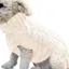 Chien pull gilet manteau chaud, tricot laine hiver pour petits, moyens, grands chiens, confortable