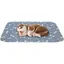 Lot de 2 tapis éducateurs lavables pour chien et chiot tapis propreté absorbant antidérapant