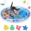 Tapis de jeu deau - KZQ - Interactif - Épais - Pour chiens et chats - Utilisation intérieure et extérieure