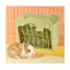 Mangeoire Lapin Râtelier à Foin Suspendu pour Petits Animaux Lapins Lapins Nains Cochons d&apos Inde (Vert) MANGEOIRE