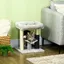 Petit Arbre à Chat Tour de Jeu avec Poteau Sisal et Balle Suspendue 48cm Gris