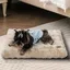Panier pour Chien - BingoPaw - 76x51x10cm Coussin Chien Dehoussable Imperméable Housse Lavable avec Fond Antidérapant - M
