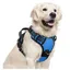 rabbitgoo Harnais Chien Anti Traction avec 3 boucles pour Chien Facile à Mettre Harnais Réfléchissant Réglable pour Chien Bleu XL