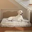 Panier pour Chien 3XL- BingoPaw - 130x110x12cm Coussin Chien Dehoussable Imperméable Housse Lavable avec Fond Antidérapant
