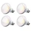 INN Lampe chauffante pour animaux UVA 4PCS 75W 220V 10x63cm lampe thermique pour reptiles chauffage animaux compagnie chauffante