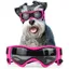 Lunettes de soleil pour chien de race moyenne protection UV coupe-vent et antibuée réglables pour petits et moyens chiens