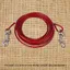 SURENHAP Laisse de chien Long acier fil Ligne de camping extérieur pique-nique corde de câble de sécurité pour animaux sport Rouge