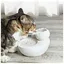 Fontaine à eau pour chat - Unbrand - Céramique - 13 litre - Filtre antibactérien - Silencieux 45 dB - Design lotus