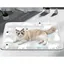 Tapis de refroidissement pour animaux compagnie rempli deaucoussinet en gel activé sous pression chiens et chatsdurable
