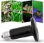 Lampe chauffante en céramique pour terrarium, ampoule infrarouge UVB pour tortue sans lumière pour reptiles, amphibiens, hamsters