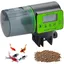 Distributeur Automatique de Nourriture - JIANGZHA - Vert Clair - 200 ml - Résistant à lhumidité - Programmable