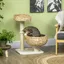 Arbre à chat griffoir 2 niveaux hauteur 72 cm poteau sisal avec niche et plateforme 1 balle suspendue