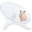 Roue dexercice silencieuse pour hamsters gerbilles souris hérissons et autres animaux