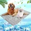 Tapis rafraîchissant pour animaux - Unbrand - 60x50 cm - Soie glacée - Coton de qualité - Antidérapant