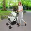 MIPAN Poussette pliable pour animaux de compagnie adaptée aux chats et aux chiens verte 50*65*99cm POUSSETTE POUR ANIMAUX