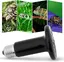 Lampe chauffante, lampe chauffante pour tortues, terrarium, ampoule en céramique, lampe chauffante infrarouge, terrarium, chiot, am