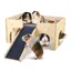 Cachette pour cochon dInde - Jouet en bois pour cochon dInde - Avec escalier et tapis - 2 animaux - Pour hamsters lapins