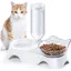 Ensemble de Gamelles pour Eau et Nourriture pour Animaux de Compagnie Ensemble de Gamelles avec Bouteille dAbreuvoir Automatique