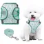 Harnais Petit Chien Anti-Traction,Step-in Harnais Doux Réglable Respirant,Réfléchissant Rembourré pour Chiots,avec Imprimé