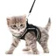 Harnais pour petit chien et chat feuilles de maison harnais pour chaton rglable VHV
