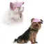 Chapeau dété pour chats et chiens - Protection UV - Ajustable - Casquette pour la protection solaire et le sport - Chapeau