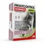 Front Control Wormer Vermifuge Chat 2 comprimés