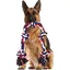 Corde à mâcher pour chien 95 cm – Coton naturel durable – 5 nœuds pour entraînement – Jouet indestructible pour